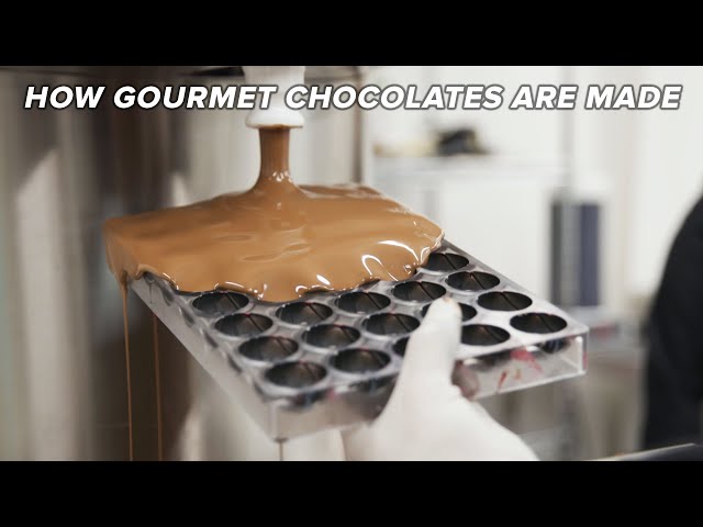 How Gourmet Chocolates Are Made • Tasty