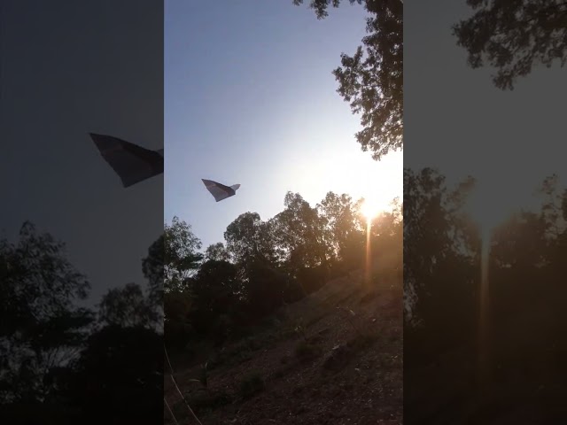 The best flying paper bird
