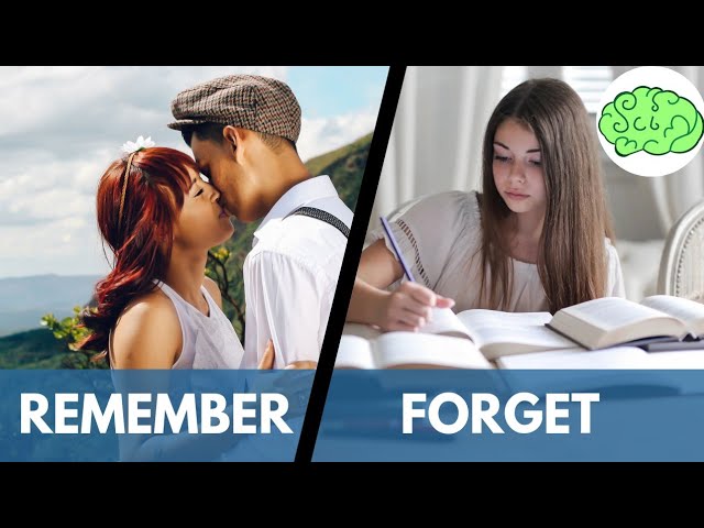 Science Of Memory | Why Do We Forget? | Hindi | Science Paranoia