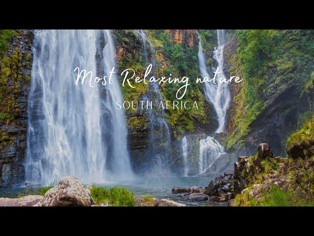 Most relaxing nature in South Africa 4k