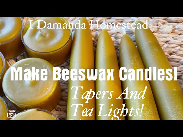 Make your Own Beeswax Candles, Tapers and Tealights. See How We do it with @idamandahomestead4221 !