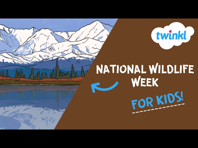 🦔 National Wildlife Week for Kids | 4-8 April | Twinkl USA