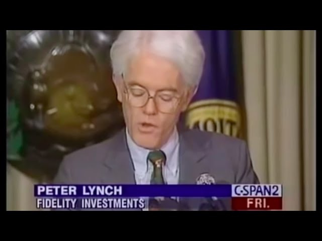 Peter Lynch Explains Tech Stocks (1994)