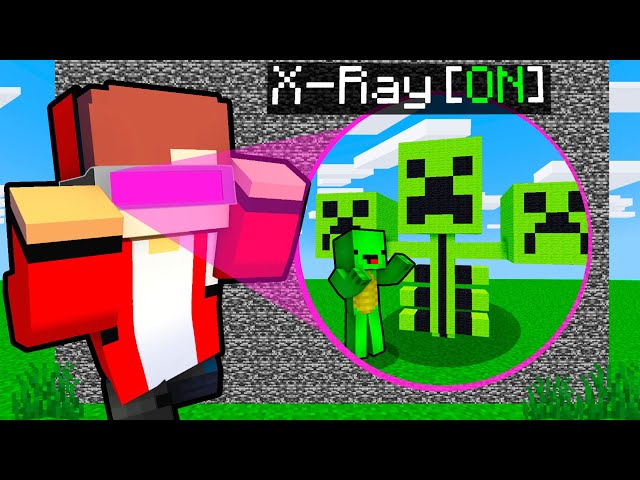 I Cheated with X-Ray in a Minecraft Build Challenge!