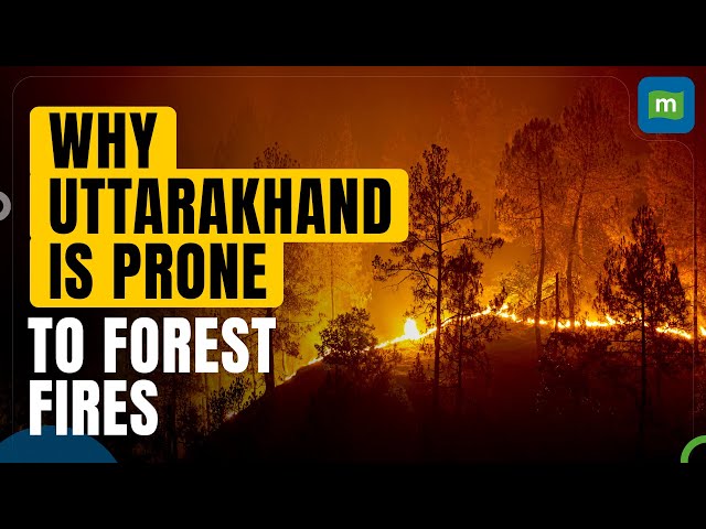 Explained: Uttarakhand Forest Fires | What are the Key Reasons Behind Wildfires