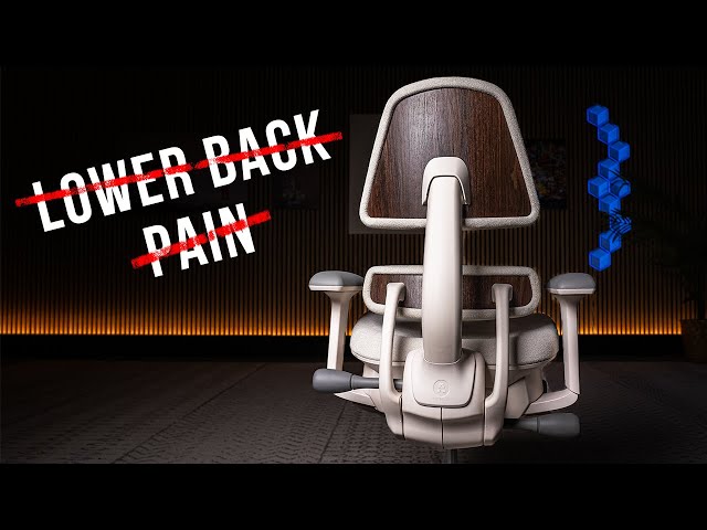 The BEST Chair for Lower Back Pain - Anthros Chair Review