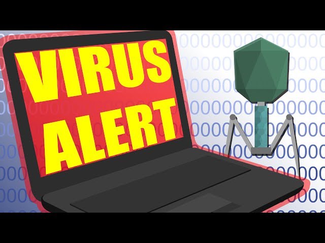 How Do Viruses and Malware Affect Your Computer?
