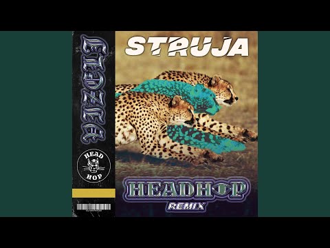 Struja (Headhop Remix)