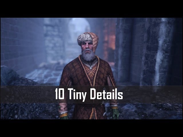 Skyrim: Yet Another 10 Tiny Details you may Still not Have Caught in The Elder Scrolls 5 (pt.4)
