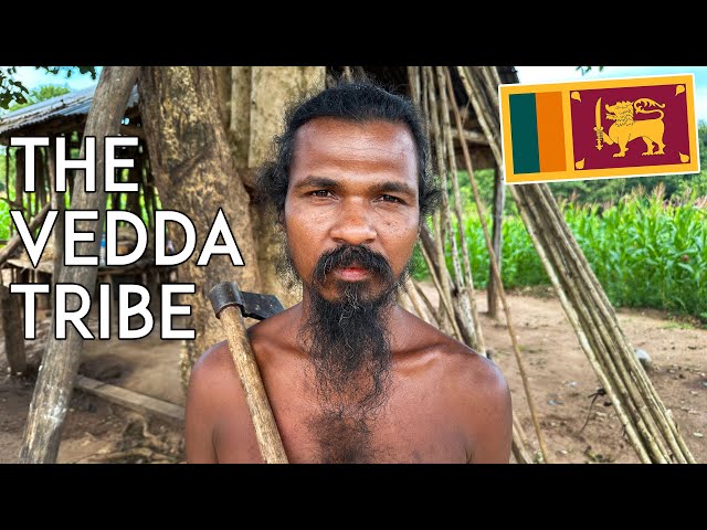 Eating Tribal Food with the VEDDA TRIBE of Sri Lanka + Camping
