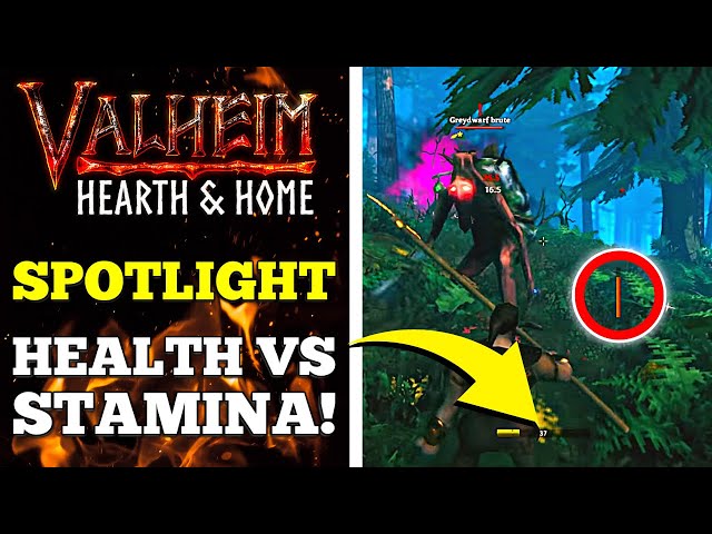 Valheim Hearth & Home Spotlight: Health vs. Stamina!