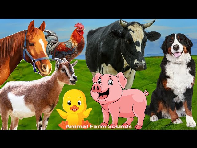 Discover Familiar Animals: Dog, Duck, Cow, Parrot, Pig, Hippo - Animal Paradise