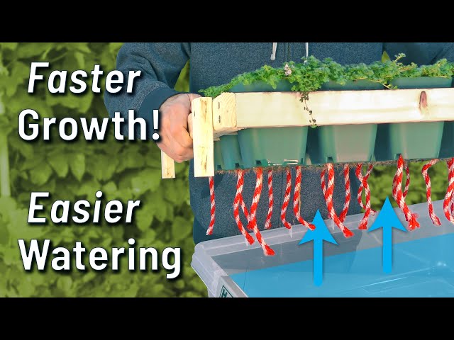 Seed Starting / Cloning Tray, Wicking System for Nursery Pots (Self-Watering DIY SIP) Tutorial