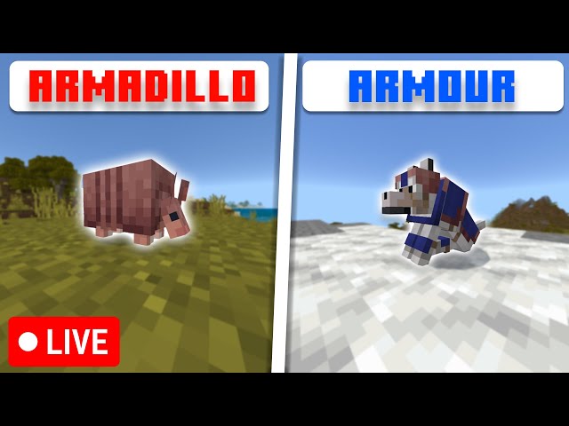 THE ARMADILLO IS NOW IN MINECRAFT - NEW UPDATE - Minecraft Bedrock Live 🔴