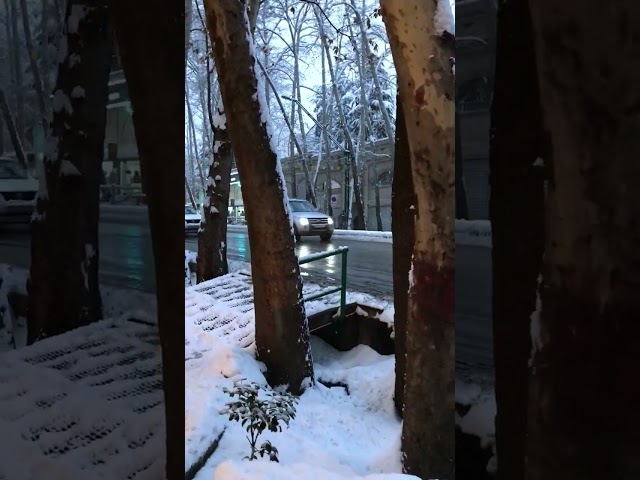IRAN Snowy Tehran in Tajrish Square January 2023 پیاده روی در تجریش برفی