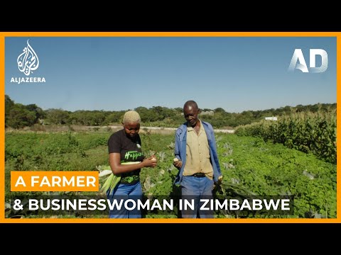 DOCUMENTARY | Fresh Farm: Farmer and Businesswoman in Zimbabwe I Africa Direct