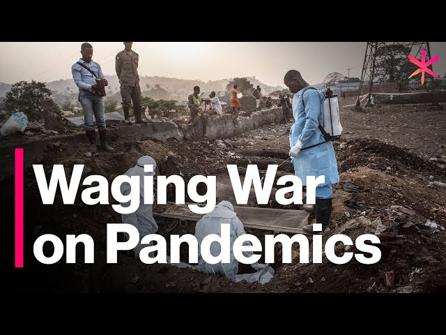 A Pandemic Surveillance System for the Planet