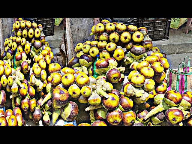 Palm Fruit Cutting Skills |Amazing Fresh Palmyra Palm Fruit | Indian Street Food
