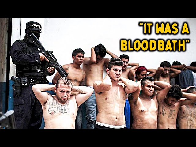 How El Salvador Destroyed Their Brutal Gangs Is Shocking!