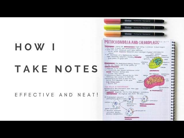 How I take notes (neat and effective) | studytee