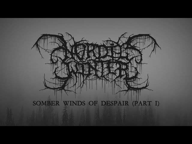 Nordicwinter - Somber Winds of Despair (part one) [Lyric Video] (Depressive Black Metal)