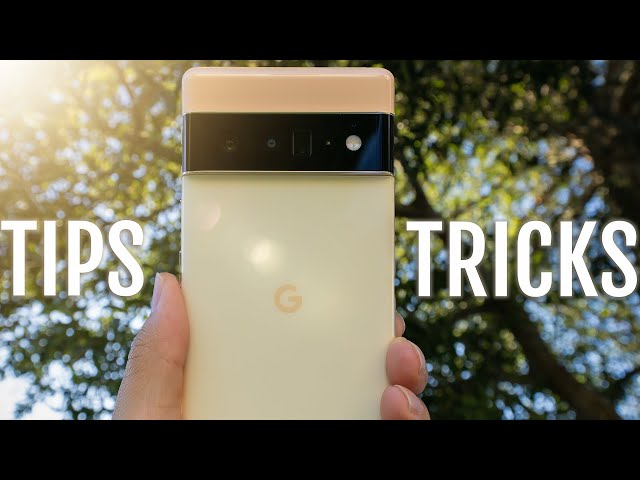 Google Pixel 6 Pro Camera Tips and Tricks