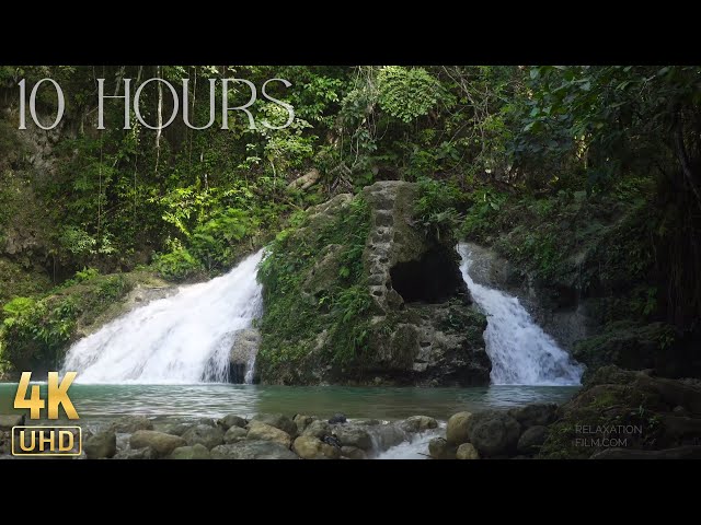 Water Sounds in Forest 4K 😴 White Noise for Sleeping,  Stress Relief, Relaxing, Study, Meditation
