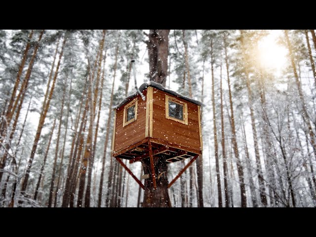 Cozy TREE HOUSE: I'm hiding from the FROST and SNOWFALL in a treehouse