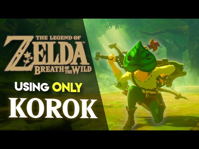 Can you BEAT Breath of the Wild using ONLY Korok Gear??