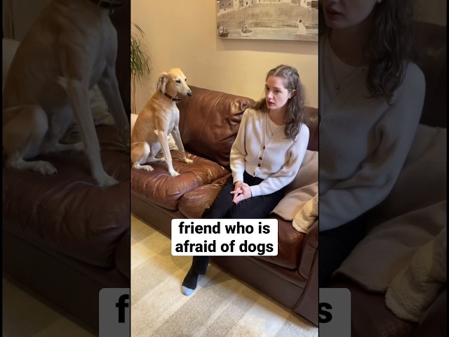 friend who is afraid of dogs