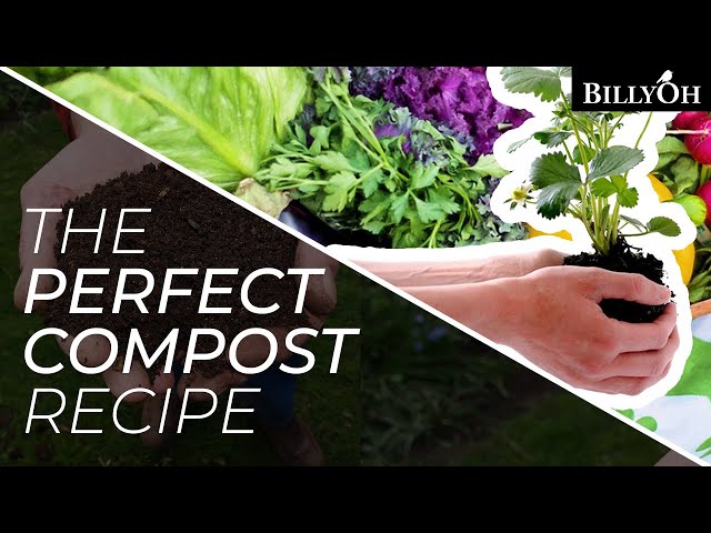 7 Things You Throw Away But Are Actually Perfect For Your Compost - Gardening Recipe For Beginners