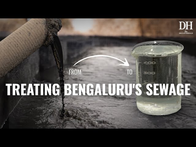 How Bengaluru recovers sewage water | Can recycled water solve Bengaluru's water problem