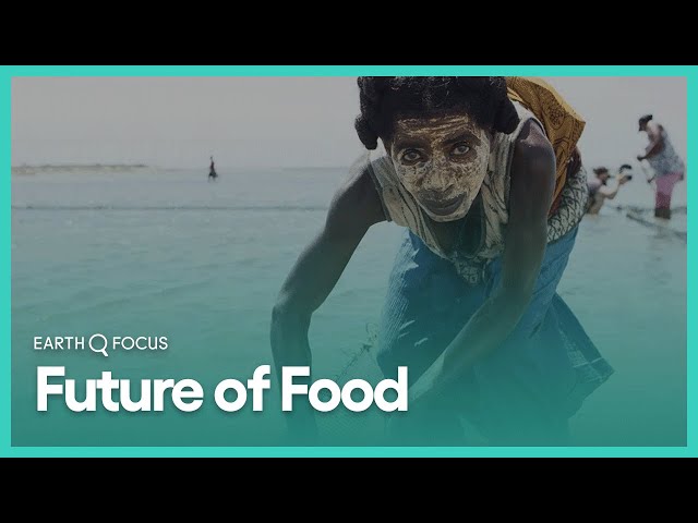 Future of Food | Earth Focus | Season 1, Episode 5 | KCET