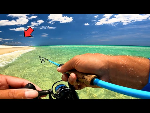 Fishing From Land Can Be TOUGH! So We Did Something CRAZY...