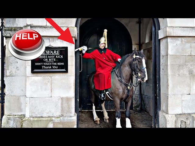 King’s Guard Press the Emergency Buzzer for Serious Help with Spooked Horse
