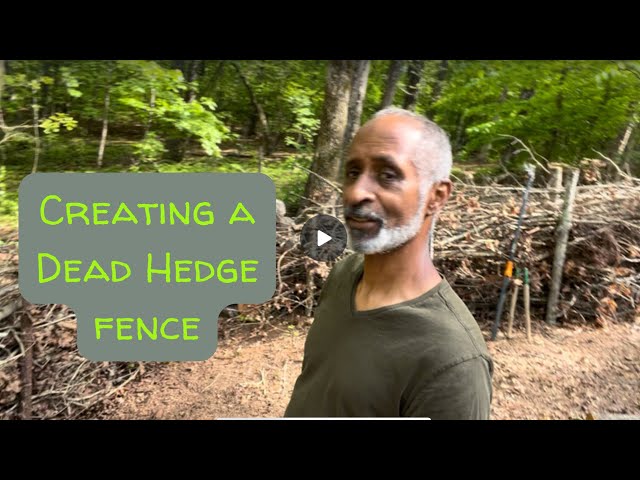 Building my dead hedge
