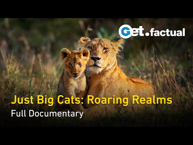 The Biggest Cats in the World: Roaring Realms | Full Wildlife Documentary