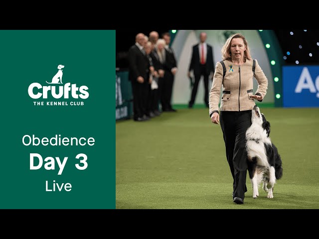 Obedience Day 3 LIVE | Bitch Obedience Championship | Crufts 2023