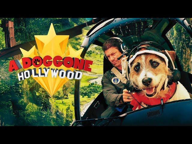 A Doggone Hollywood (2017) Full Family Movie Free - Jesse, Paul Logan, Cynthia Rothrock