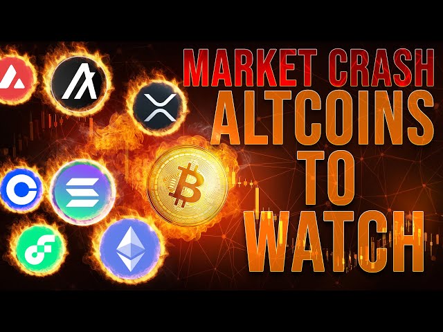 Crypto Market Crash 🔥 Altcoin Update