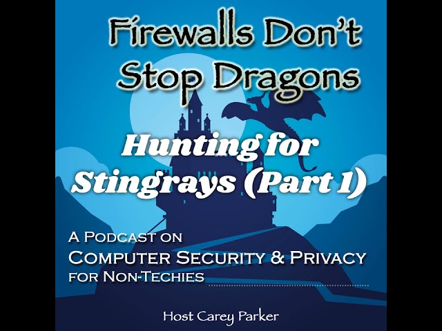Ep216: Hunting for Stingrays (Part 1)
