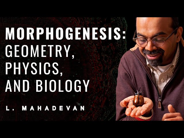 Morphogenesis: L. Mahadevan Public Lecture
