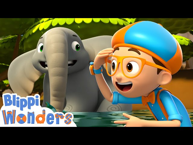 Blippi wonders what do elephants use their trunks for? | Blippi Wonders Educational Videos for Kids