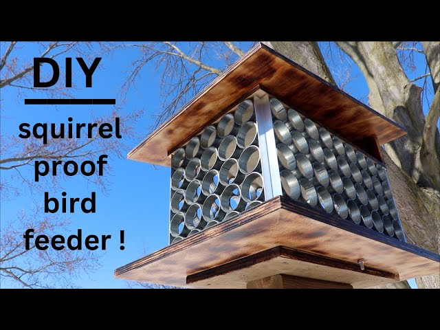 How to Make ● A Unique Squirrel Proof Bird Feeder ( that actually works ! )