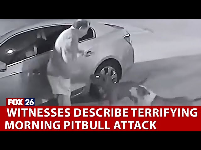 Pit bull attack leaves elderly Harris County man in critical condition