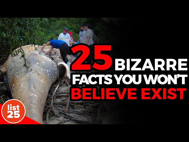 25 Bizarre Facts You Won't Believe Exist   But They Do