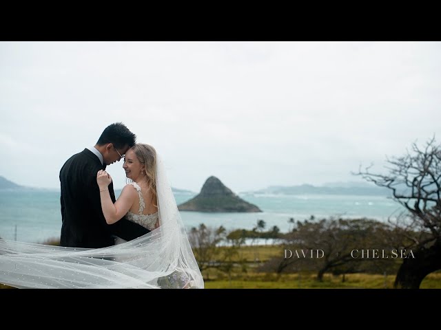 Kualoa Ranch Wedding | Paliku Gardens | Oahu, Hawaii | Chelsea + David