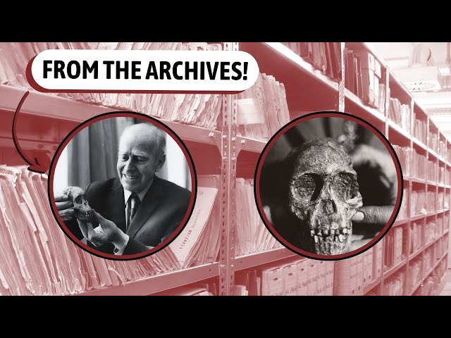 The Discovery of Australopithecus and its Implications | Dr. Raymond Dart