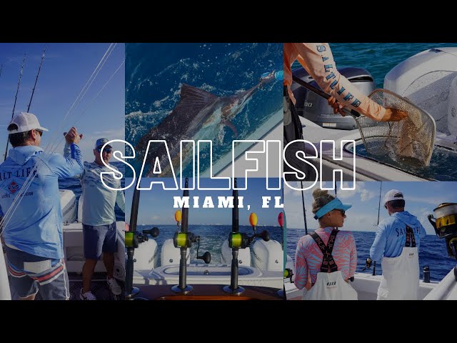 Catching The Legendary Sailfish In Miami!