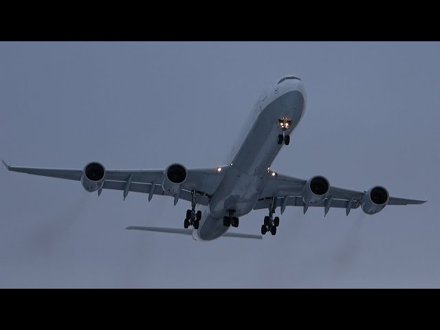 Lufthansa - Airbus A340-642 - Diverted Landing